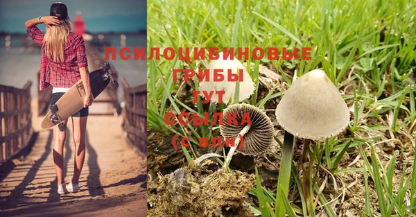 ГАЛЛЮЦИНОГЕННЫЕ ГРИБЫ Абаза