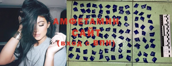 ГАЛЛЮЦИНОГЕННЫЕ ГРИБЫ Абаза